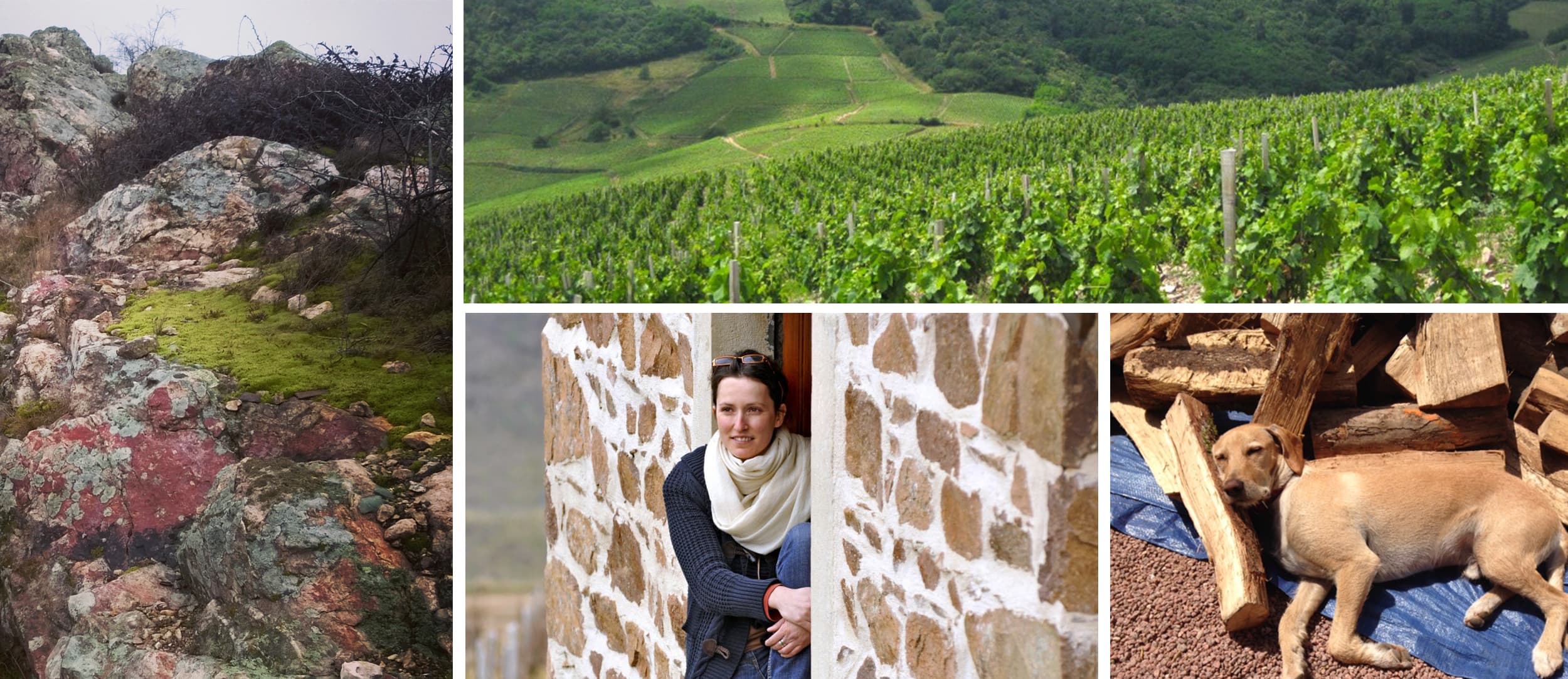 Domaine Sant'Armettu