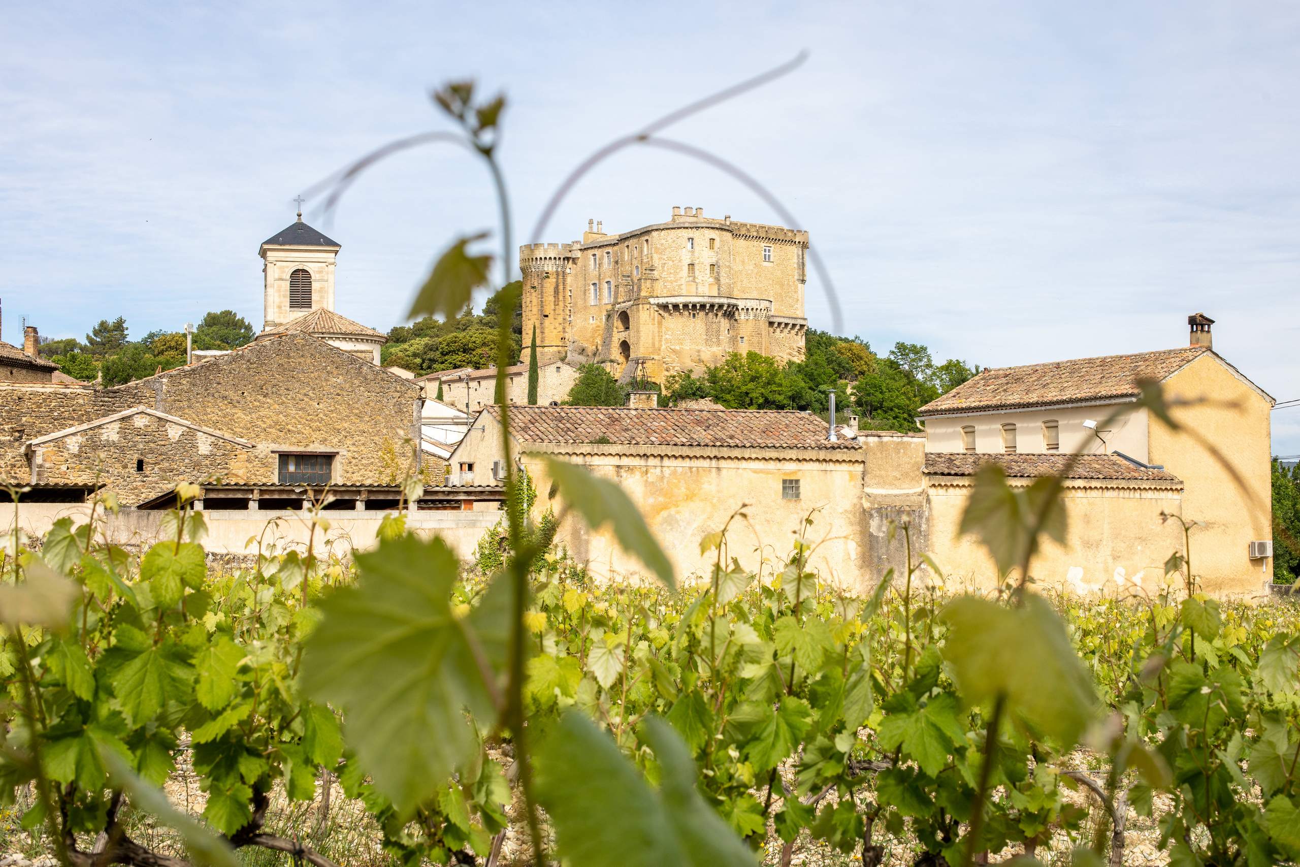 Vincent BOYER Vigneron