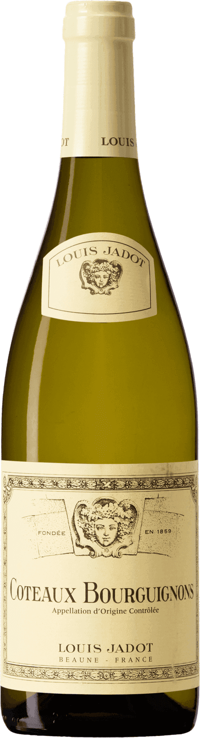 Louis Jadot