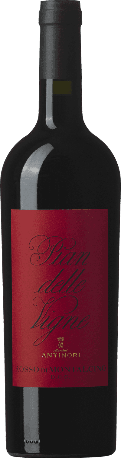 Pian delle Vigne