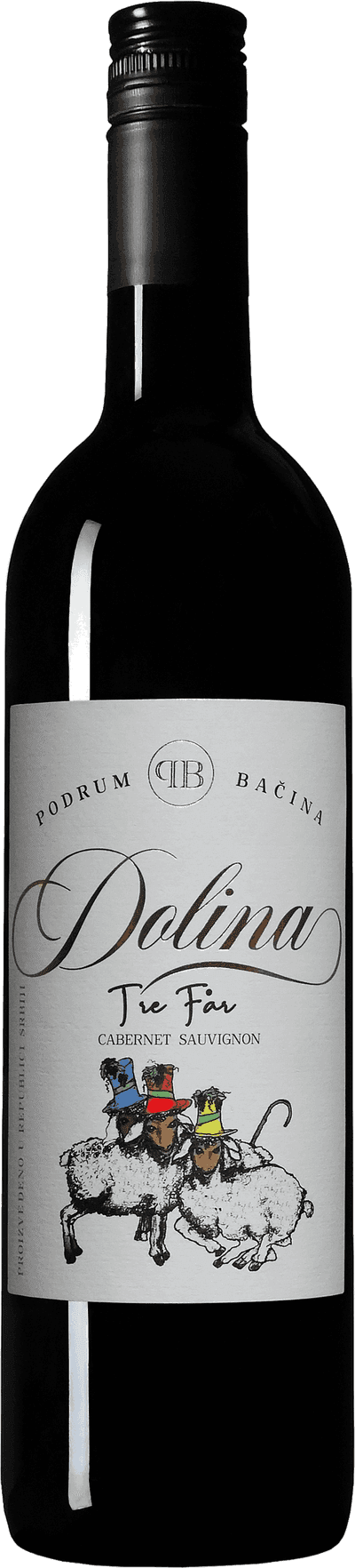 Dolina
