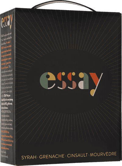 Essay