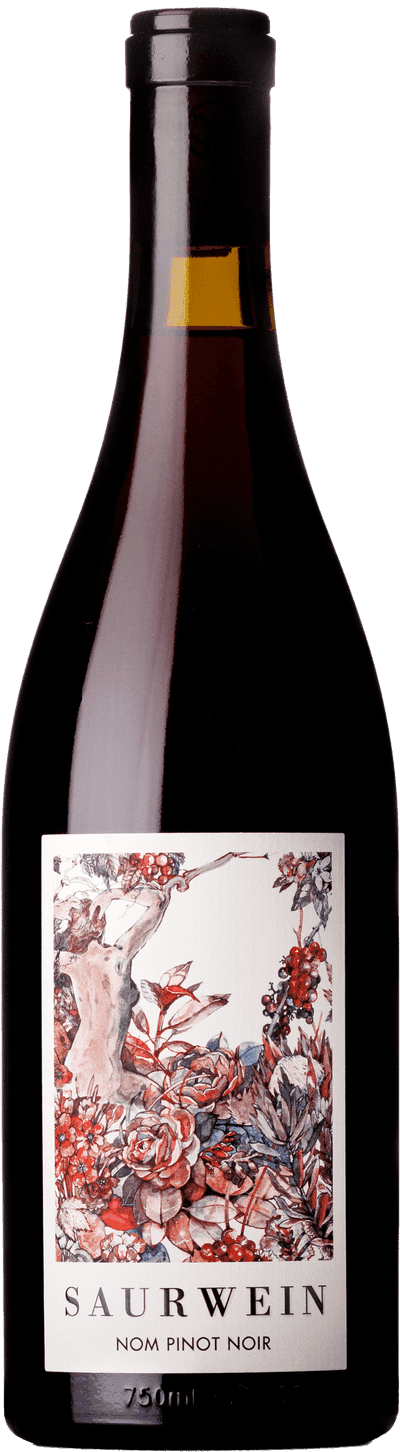 Saurwein Nom