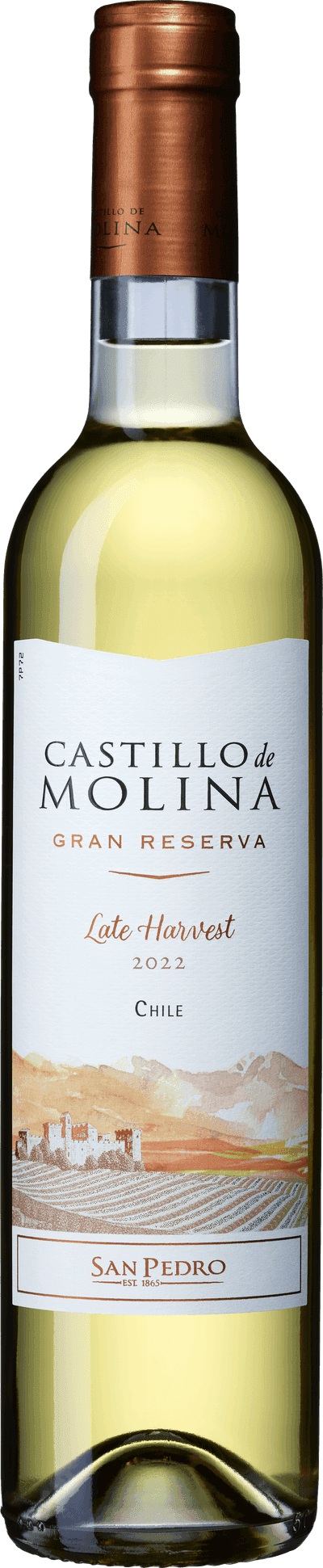 Castillo de Molina