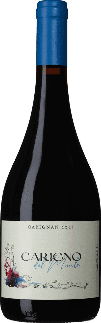 Moretta Wines