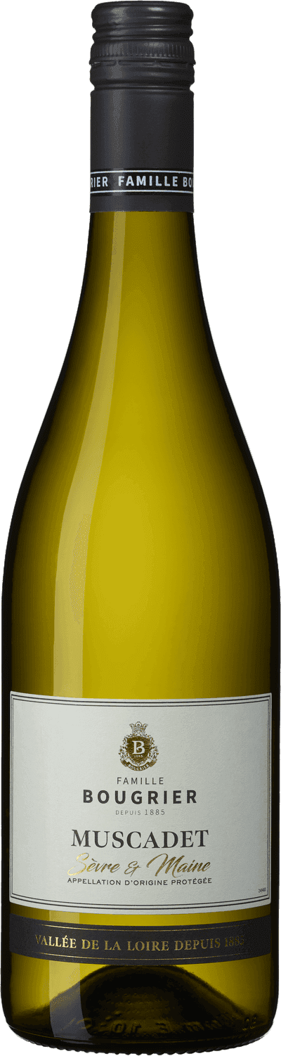 Collection Muscadet Sèvre & Maine