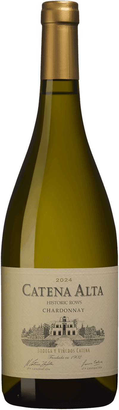 Catena Alta