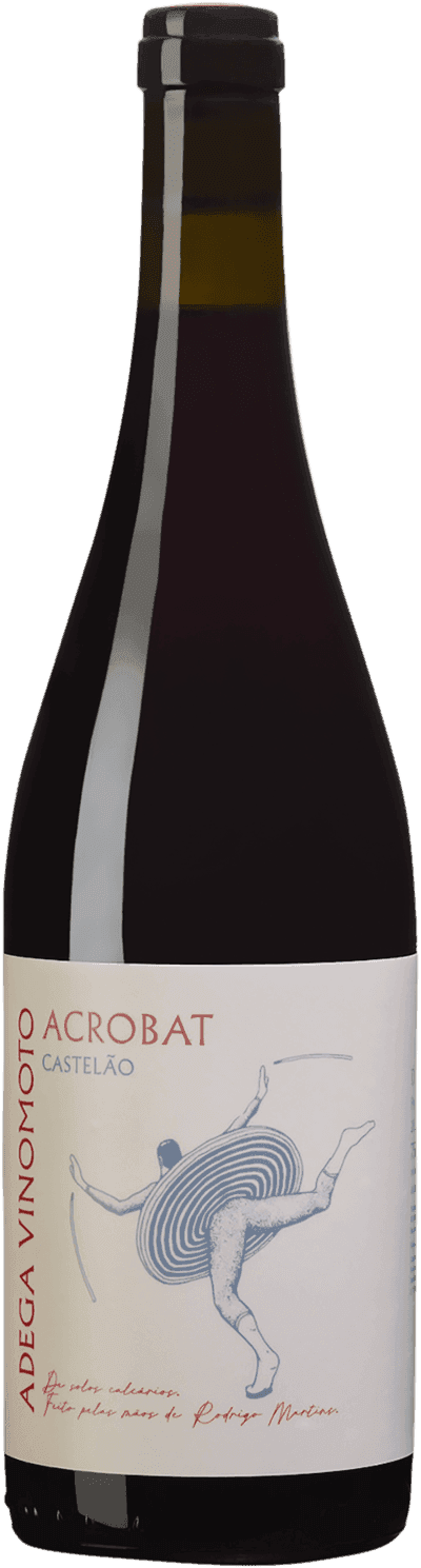 Adega Vinomoto