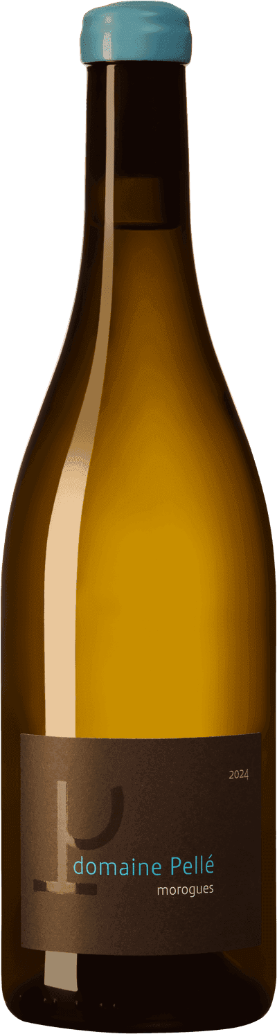 Domaine Pellé