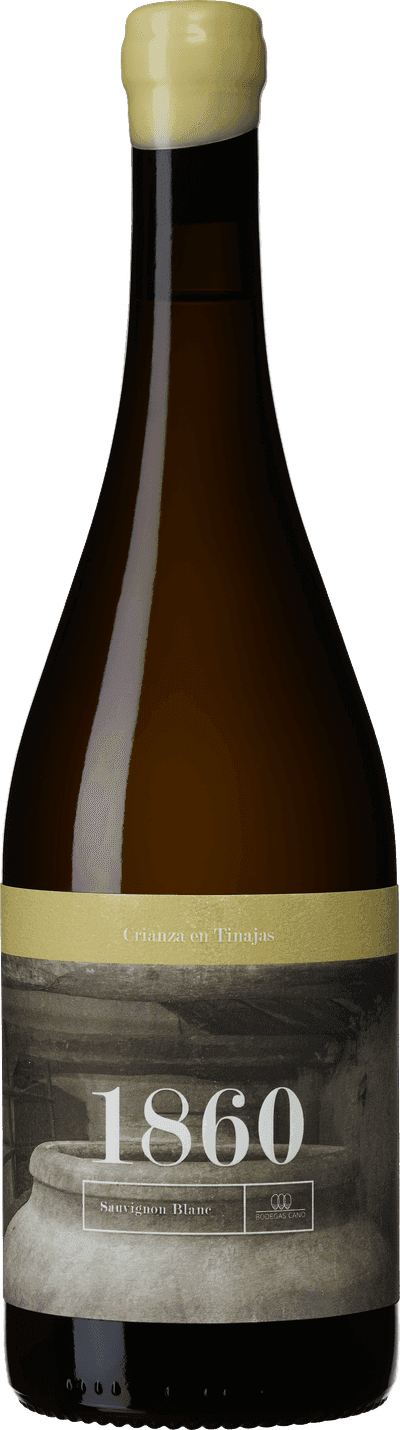 Bodegas Cano