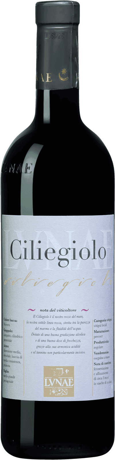 Ciliegiolo